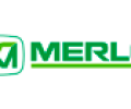 merlo